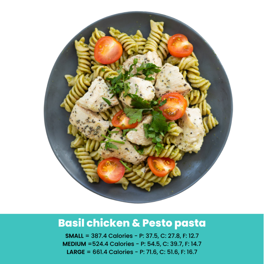 1 Meal Per Day - Total 6 Meals - Muscle Chow